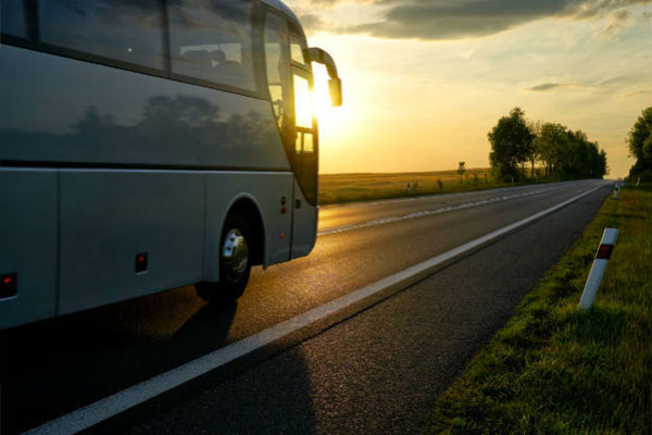 Su traslado en Mallorca en minibus